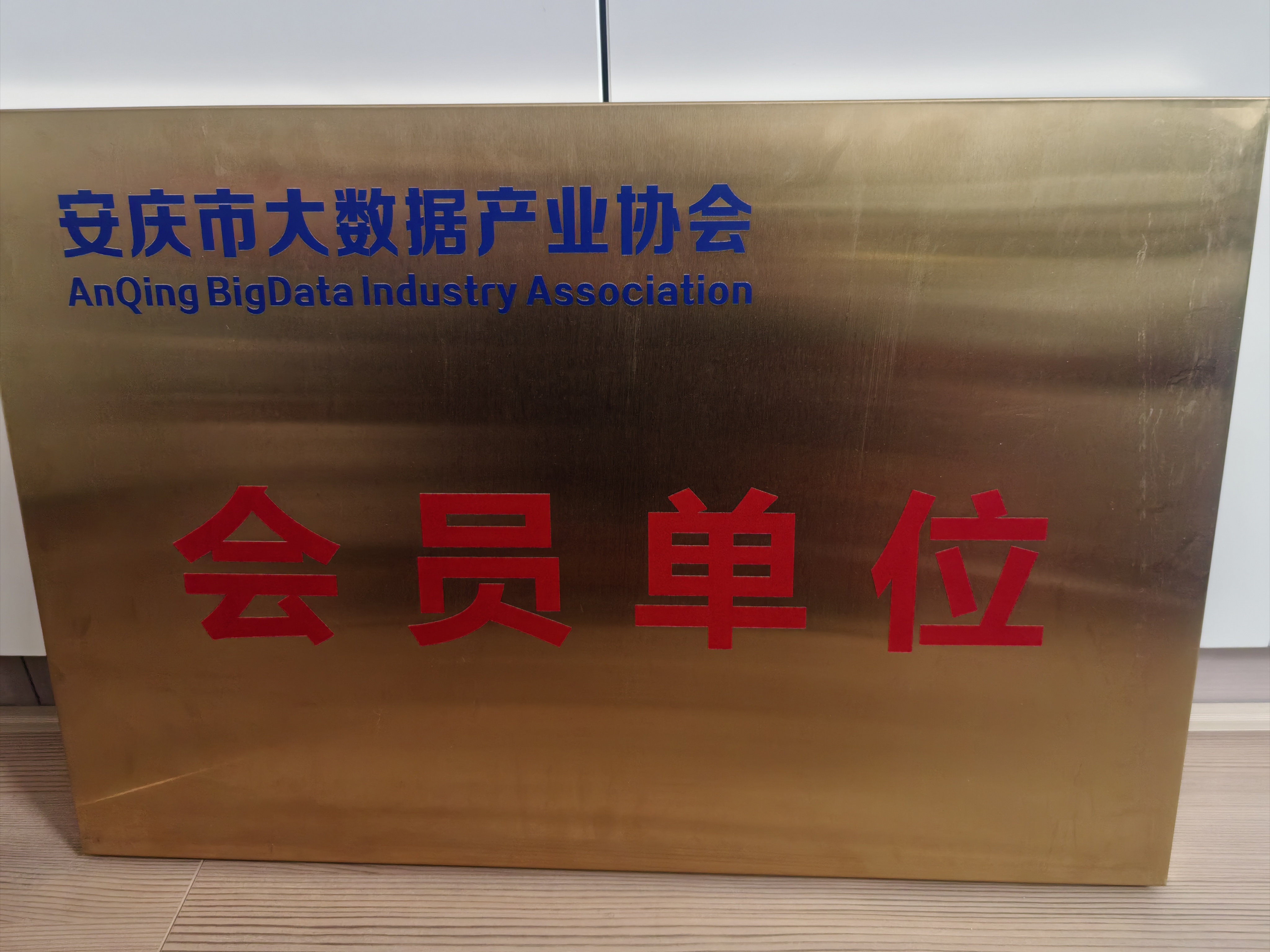 數(shù)聚安慶 智啓新程 ——安慶市(shì)大(dà)...